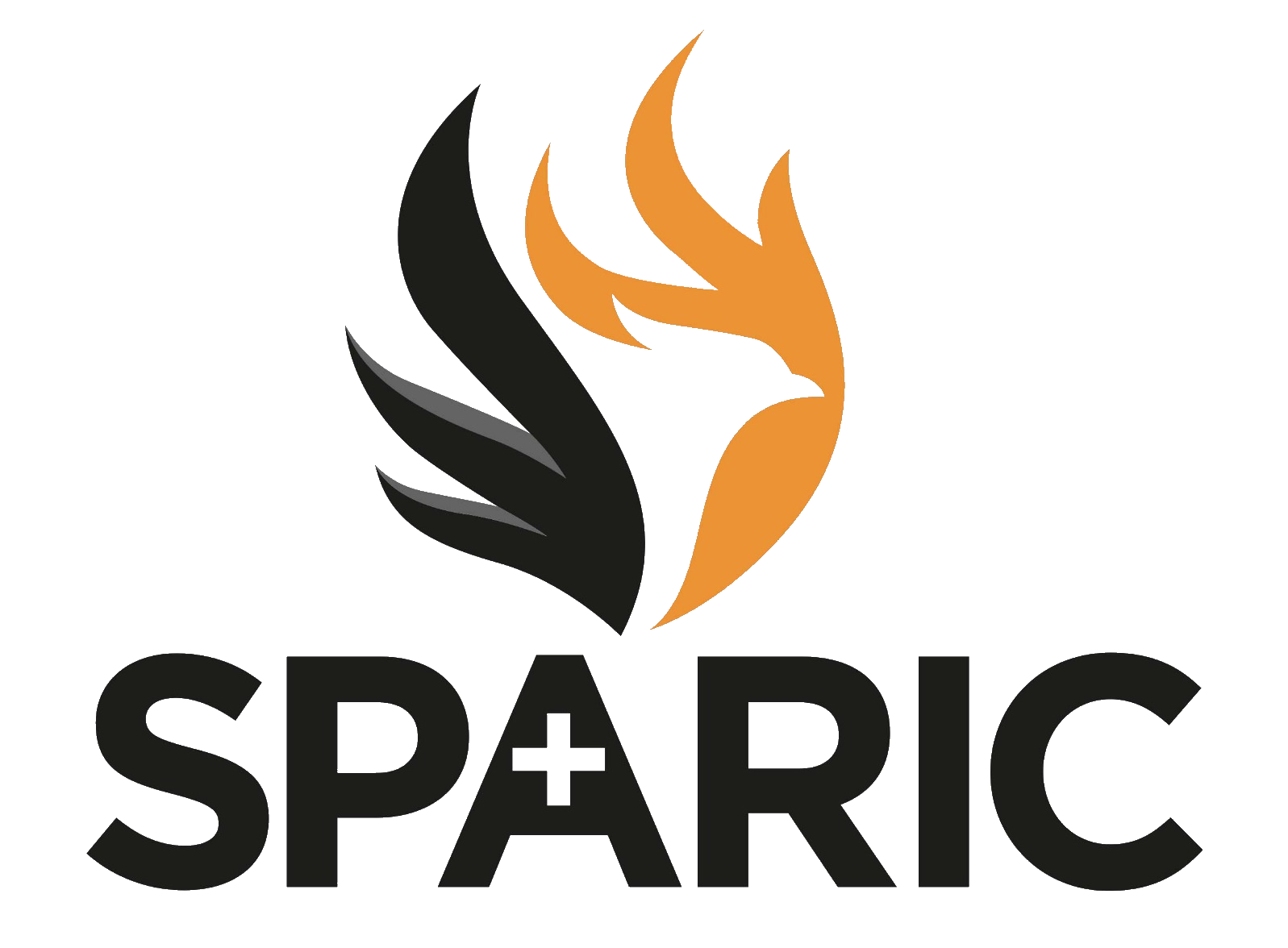 Sparic Limited